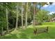 Relaxing backyard scene with a bench near mature trees and serene greenery at 27113 Robertson Rd, Yalaha, FL 34797