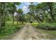 Scenic driveway leading to a property, framed by lush greenery and towering trees at 27113 Robertson Rd, Yalaha, FL 34797