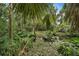 Backyard pond surrounded by native plants and trees at 27113 Robertson Rd, Yalaha, FL 34797
