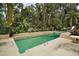 Backyard pool with ladder and slide surrounded by mature landscaping at 27113 Robertson Rd, Yalaha, FL 34797