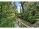 Unique view of a water feature surrounded by lush vegetation and greenery at 27113 Robertson Rd, Yalaha, FL 34797