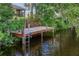 Dock on the water with a ladder and plants all around at 29152 David Ct, Tavares, FL 32778