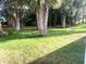 Lush backyard featuring mature palm trees scattered across the green lawn at 409 Westwood Dr, Leesburg, FL 34748