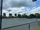 Outdoor tennis courts with black chain link fence and lighting amidst lush greenery at 6008 Apex Way, Lady Lake, FL 32159