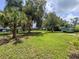 Large backyard with mature palm and oak trees, offering a serene and private outdoor space at 604 Ponderosa Dr, St Cloud, FL 34769
