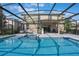 Sparkling pool in screened enclosure with outdoor kitchen, lounge chairs, and sunny patio at 637 Neptune Dr, Groveland, FL 34736