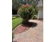 Lush landscaping with a brick walkway and beautiful flowering shrub at 724 Rosemere Cir, Orlando, FL 32835