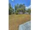 Well-maintained backyard featuring a storage shed, offering both functionality and a serene outdoor atmosphere at 100 W Idlewild Ave, Eustis, FL 32726
