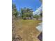 Lush backyard with ample space, complemented by mature trees and a charming storage shed for all your gardening needs at 100 W Idlewild Ave, Eustis, FL 32726