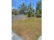 Expansive backyard featuring a privacy fence, offering a secure space for activities and relaxation at 100 W Idlewild Ave, Eustis, FL 32726