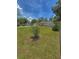 Home with grassy front yard and sidewalk, accented by mature trees and flowering bushes at 100 W Idlewild Ave, Eustis, FL 32726