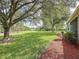 Expansive backyard features lush green grass and mature trees, ideal for outdoor activities at 101 Flame Vine Way, Groveland, FL 34736