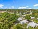 Aerial shot of homes nestled among lush greenery and trees, offering a sense of privacy and tranquility at 1156 Capella Dr, Tavares, FL 32778