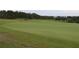 Expansive golf green with lush grass, clearly marked with flags, offering a challenging and scenic course view at 1355 Misty Glen Ln, Clermont, FL 34711