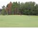 Personal playing on the golf green, featuring meticulously maintained lawns and surrounded by beautiful trees at 1355 Misty Glen Ln, Clermont, FL 34711