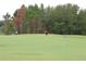 Golfer is playing on the lush green, surrounded by mature trees and blue and white flags for clear course marking at 1355 Misty Glen Ln, Clermont, FL 34711