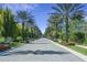 Beautiful street lined with palm trees and lush landscaping leading to the property at 14501 Grove Resort Ave # 3406, Winter Garden, FL 34787