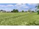 Scenic view of the expansive golf course featuring lush greenery and mature trees at 1815 Kaufman Cir, Lady Lake, FL 32159