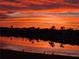 Picturesque sunset view over the lake, with tranquil reflections and birds on the shoreline at 1920 Iglesia St, The Villages, FL 32159