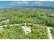 Captivating aerial view of a home immersed in a vibrant, green forest landscape at 30342 Vitex Ave, Eustis, FL 32736