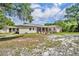 Spacious backyard features a patio area, lush lawn, and mature trees at 30342 Vitex Ave, Eustis, FL 32736