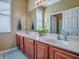 Bathroom with double sink vanity, plant, and a large mirror at 359 Blue Branch St, Eustis, FL 32736