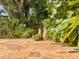 Lush tropical backyard with plants, decorative pottery, and natural stone patio at 3664 Se 45Th Pl, Ocala, FL 34480