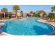 Resort-style community pool with a beach entry, palm trees, loungers, and a covered seating area at 391 Cheeota Ct, Minneola, FL 34715