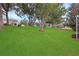 Spacious, green backyard with mature trees, landscaping, and screened-in patio at 5008 Sawgrass Lake Cir, Leesburg, FL 34748
