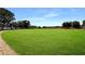 Vibrant community baseball field with green grass at 5008 Sawgrass Lake Cir, Leesburg, FL 34748