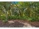 Natural landscaping with variety of trees and plants creates a lush, serene environment at 8045 Waterbury Way, Mount Dora, FL 32757