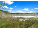Scenic view of tranquil pond and lush green surroundings on a sunny day at 1436 Spring Lake Rd, Fruitland Park, FL 34731