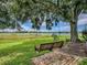 Scenic backyard featuring mature trees, swing, and peaceful views of the lake, perfect for enjoying nature and relaxing outdoors at 25007 Bellevue, Leesburg, FL 34748