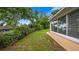 Well-maintained backyard with a lush green lawn and privacy hedges surrounding the perimeter at 256 Carroll St, Clermont, FL 34711