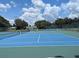 Active community offers well-maintained blue tennis courts for friendly matches and exercise at 27141 Racquet Cir, Leesburg, FL 34748