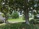 View of the property from the street with a mature tree in the front yard at 5268 Sw 110Th Pl, Ocala, FL 34476