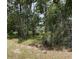 Natural wooded setting at 5268 Sw 110Th Pl, Ocala, FL 34476