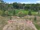 Backyard view showcasing young trees planted across a grassy yard and natural foliage at 6946 Perch Hammock Loop, Groveland, FL 34736