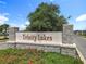 Close-up of the Trinity Lakes community sign featuring stone pillars and decorative landscaping at 6946 Perch Hammock Loop, Groveland, FL 34736