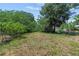 View of backyard featuring partial landscaping and natural surroundings at 1048 Cr 452A, Lake Panasoffkee, FL 33538