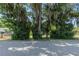 View of the property showcasing mature trees draped with Spanish moss along the street at 1048 Cr 452A, Lake Panasoffkee, FL 33538