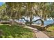 Lush backyard showcasing mature trees with Spanish moss and lake views at 13033 Se 158Th Ln, Weirsdale, FL 32195