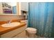 Bright bathroom featuring a vanity, toilet, and a blue shower curtain at 2110 Churchill Downs Cir, Orlando, FL 32825