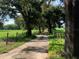 Picturesque driveway lined with mature trees leading to a serene country property with fenced pastures at 2530 Shady Ln, Groveland, FL 34736