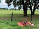 Expansive green pasture with mature trees under a cloudy sky, surrounded by a barbed wire fence and rural charm at 2530 Shady Ln, Groveland, FL 34736