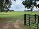 Vast acreage showcases a well-maintained pasture, perfect for an equestrian estate at 2530 Shady Ln, Groveland, FL 34736