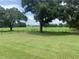 Lush green yard features mature trees, providing a peaceful and private setting at 2530 Shady Ln, Groveland, FL 34736