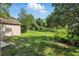 View of the backyard featuring a grassy area, chain-link fence, and wooded surroundings at 2708 Lorraine Dr, Leesburg, FL 34748