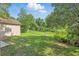 View of the backyard featuring a grassy area, chain-link fence, and wooded surroundings at 2708 Lorraine Dr, Leesburg, FL 34748