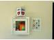 Wall-mounted AED and emergency defibrillator station ensuring safety and quick response in case of medical emergencies at 3607 Umbrella Tree Ln, Oxford, FL 34484
